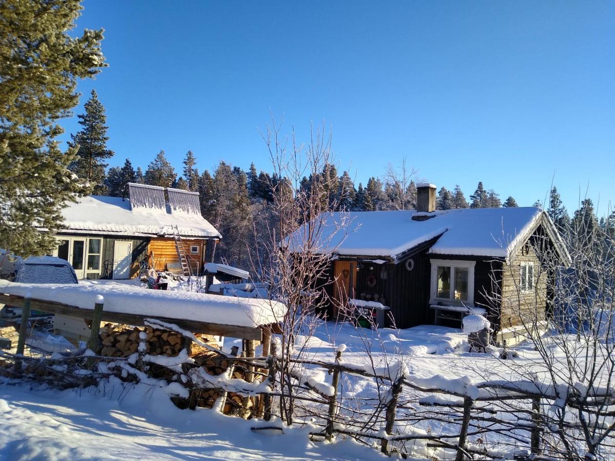 Furuly Vakantiehuis Vingelen Dış mekan fotoğraf